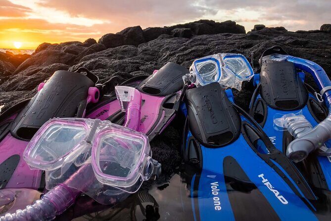 Kona Snorkeling Gear Rental Dive Into Adventure - Good To Know
