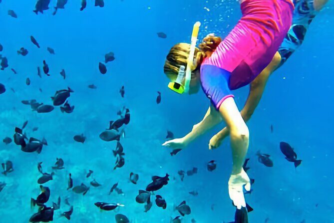 Kona Snorkeling Gear Rental Dive Into Adventure - Rental Durations and Practicality