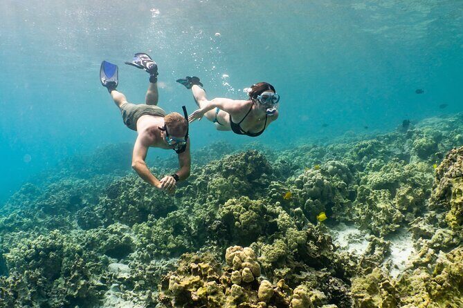 Kona Snorkeling Gear Rental Dive Into Adventure - Authentic Experiences and User Insights