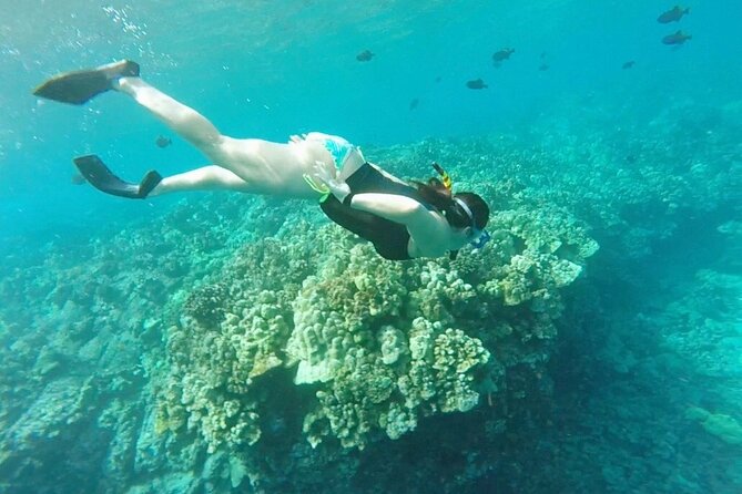 Konas Deluxe Snorkel - Beat the Crowds to Captain Cook and Place of Refuge - Small Group Tour