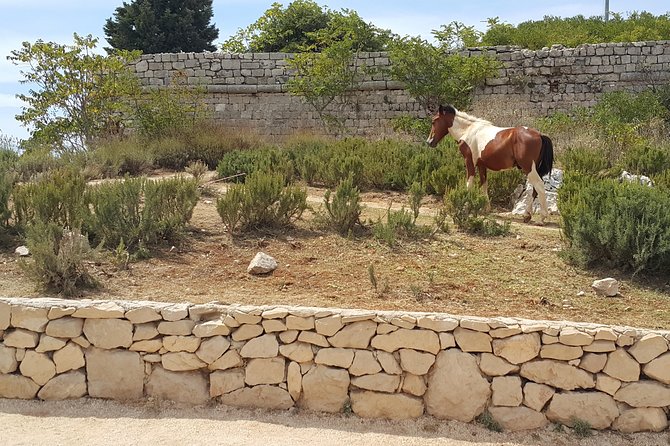 Konavle Countryside Private Tour - Pricing Information