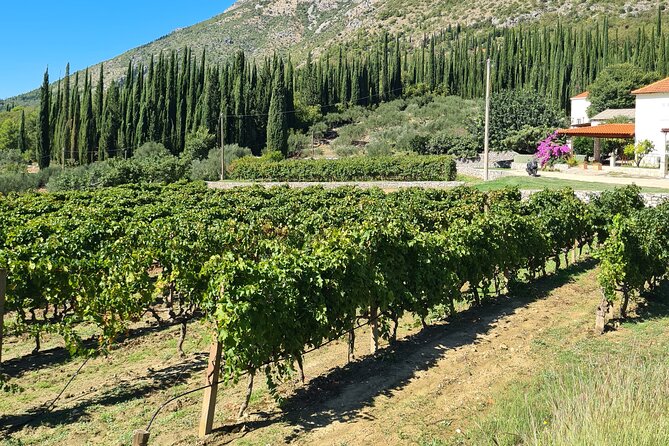 Konavle Gastro & Culture Tour (Small Group) - The Sum Up