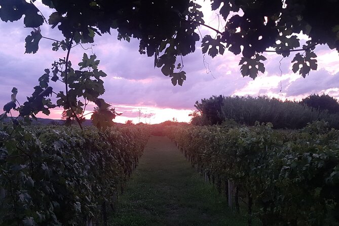 Konavle Gastro Tour From Dubrovnik - Dining Experiences