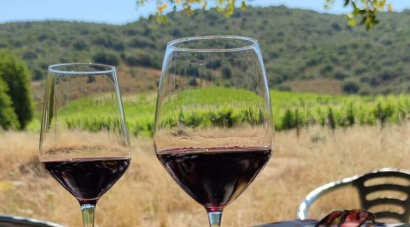 Konavle Private Countryside Experience with Wine & Spirits - Good To Know