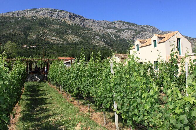 Konavle Region Shared Tour from Cavtat - Exploring the Konavle Region: What to Expect