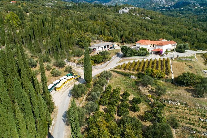 Konavle Tradition & Vines: Brajković Winery Journey - Winery Location and Setting