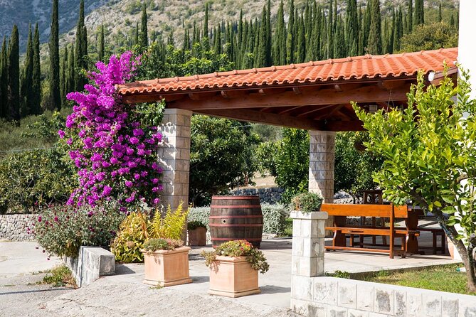 Konavle Tradition & Vines: Brajković Winery Journey - Tasting Experience and Wine Selections