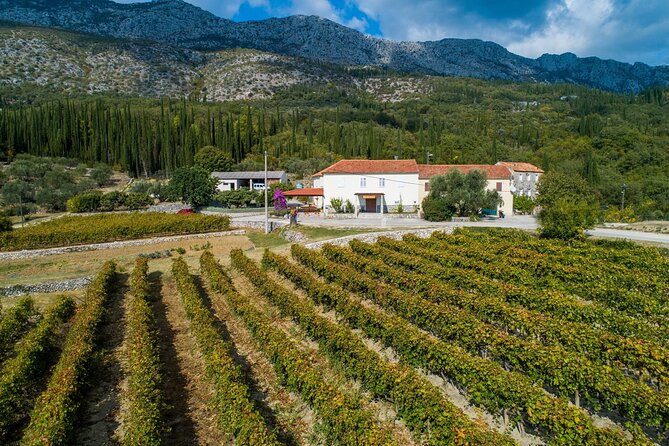 Konavle Tradition & Vines: Brajković Winery Journey - Souvenirs and Departure Details