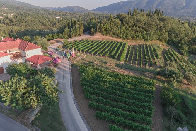 Konavle Tradition & Vines: Brajković Winery Journey - Frequently Asked Questions