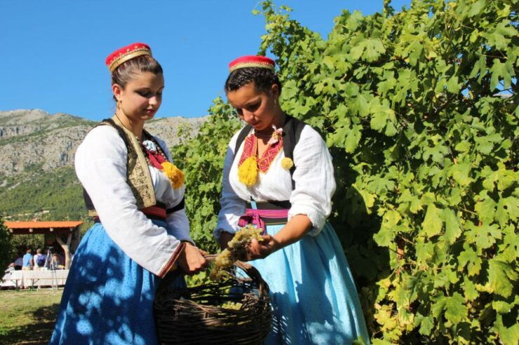 Konavle Valley: Private Half-Day Tour With Wine Tasting - Flexible Payment Options Available