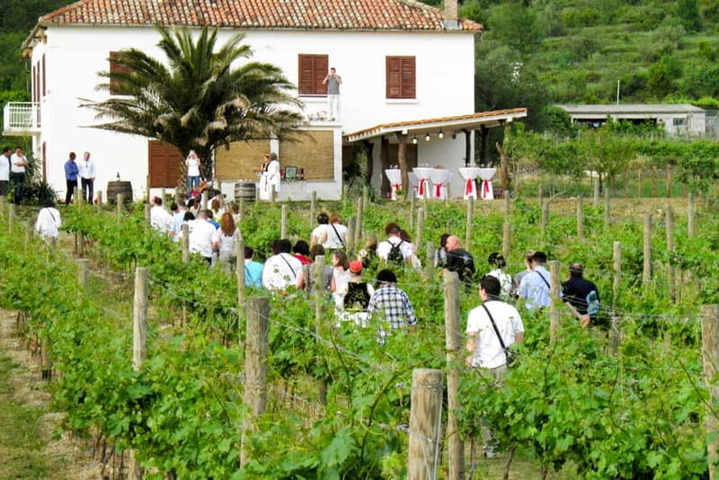 Konavle Valley: Tour with Wine Tasting from Dubrovnik - Quality of Guides and Group Size