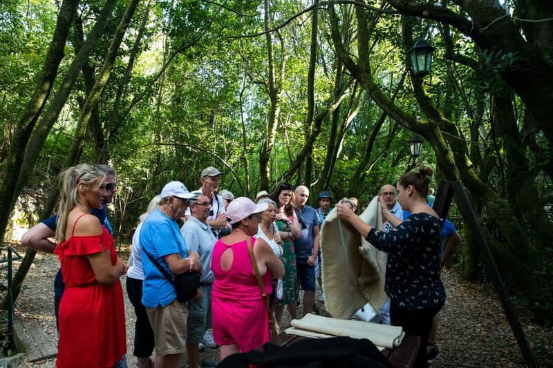 Konavle Valley: Tour with Wine Tasting from Dubrovnik - Final Thoughts