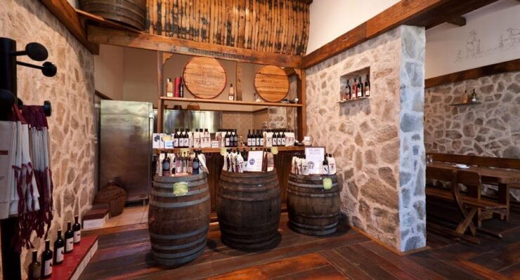 Konavle Valley: Wine Tasting at Dubrovnik Cellars - History of Dubrovnik Cellars