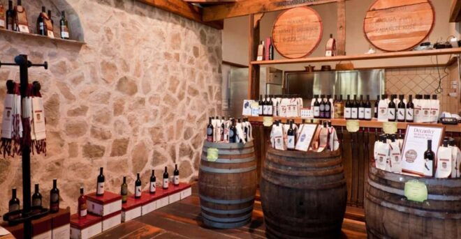 Konavle Valley: Wine Tasting at Dubrovnik Cellars - Venue Features and Ambiance