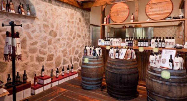 Konavle Valley: Wine Tasting at Dubrovnik Cellars - Accessibility and Group Options