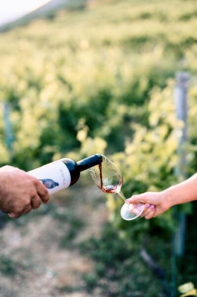 Konavle Valley: Wine Tasting at Dubrovnik Cellars - Location and Directions