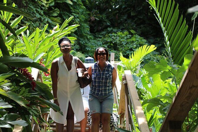 Konoko Falls and Bamboo Blu Beach from Ocho Rios Cruise Port - Final Thoughts