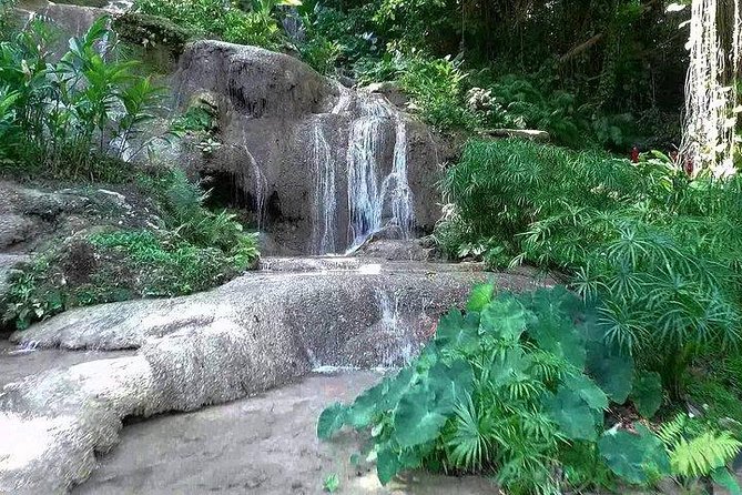 Konoko Falls and Garden Tour From Kingston - Tour Highlights