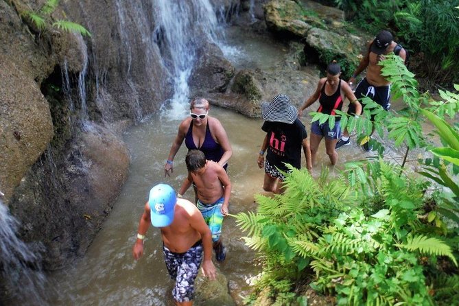 Konoko Falls and Park Private Tour With Hotel Pickup - Tour Overview