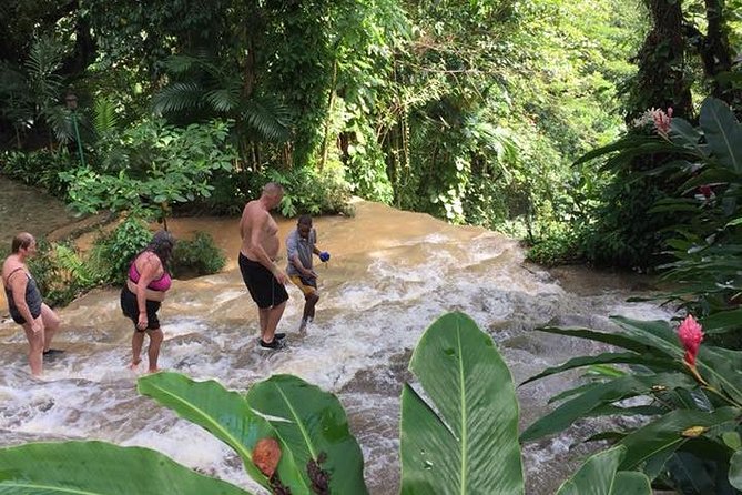 Konoko Falls and Tropical Garden Tour From Ocho Rios - Price