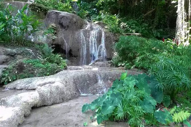 Konoko Falls and Tropical Garden Tour From Runaway Bay - Tour Highlights