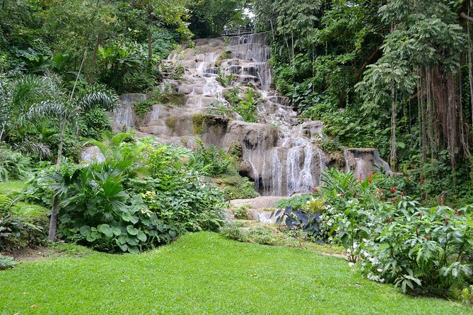 Konoko Falls and Tropical Garden Tour From Runaway Bay - Booking Information