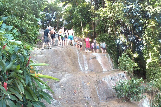 konoko waterfall and zoo - Discovering Kingston’s Konoko Waterfalls and Zoo: A Balanced Review