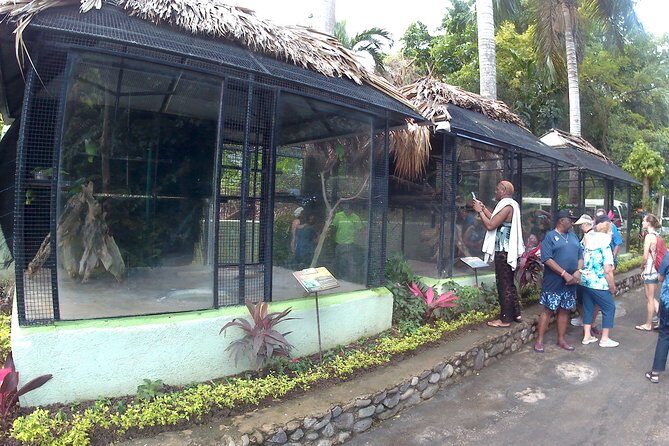 konoko waterfall and zoo - Authentic Experiences and Insights