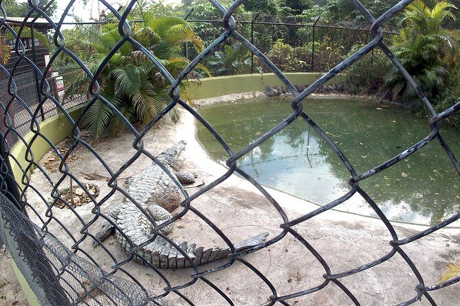 konoko waterfall and zoo - Frequently Asked Questions