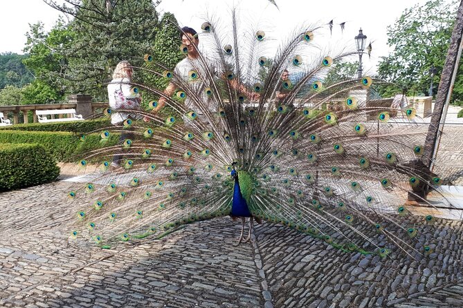 Konopiste Castle Private Tour From Prague - What To Bring