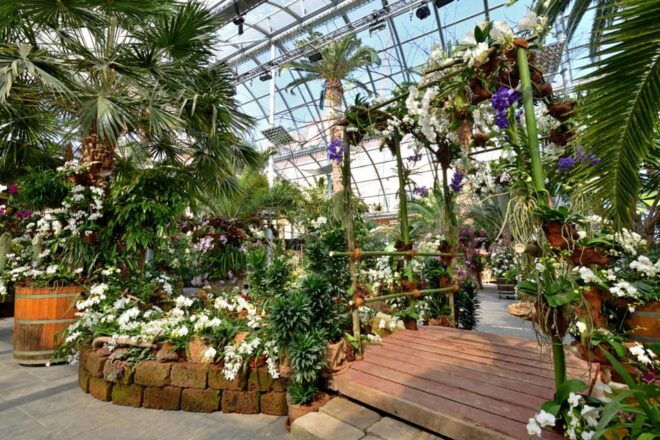 Konstanz: Mainau Island Entry Ticket - Seasonal Accessibility