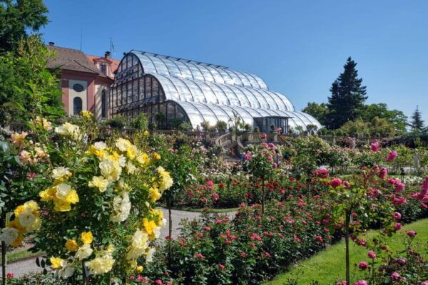 Konstanz: Mainau Island Entry Ticket - Customer Ratings