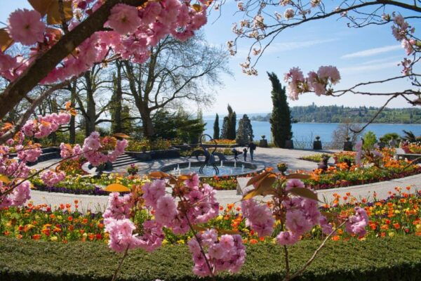 Konstanz: Mainau Island Entry Ticket - Booking and Payment Options