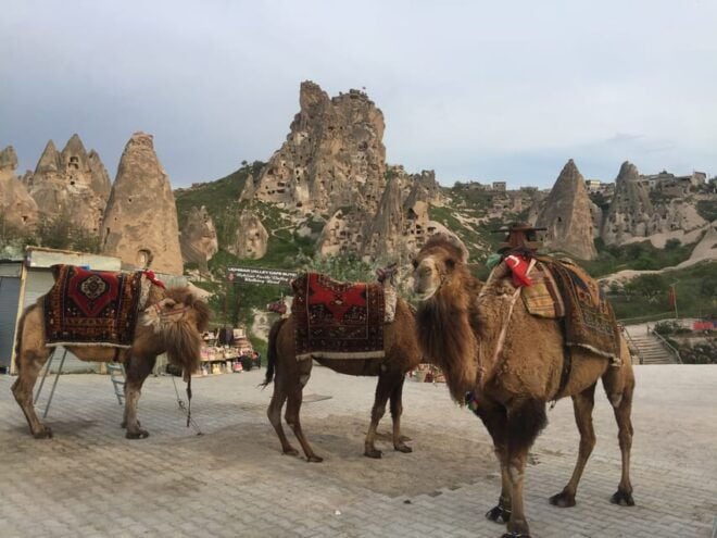 Konya and Cappdocia Tour (3 Days-2 Nights) - Important Information