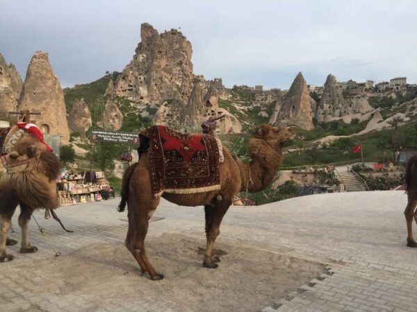 Konya and Cappdocia Tour (3 Days-2 Nights) - Pasabag and Rock Formations