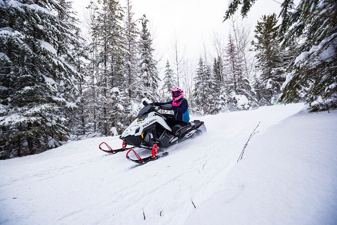 Kootenai National Forest Snowmobile Rental  - West Glacier - Snowmobile Options and Trail Selection
