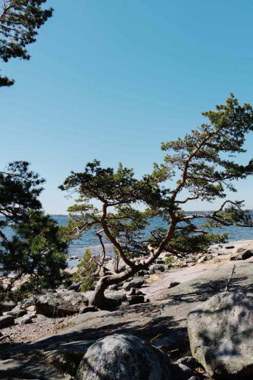 Kopparnäs: Exclusive Day Tour in the Archipelago - Good To Know