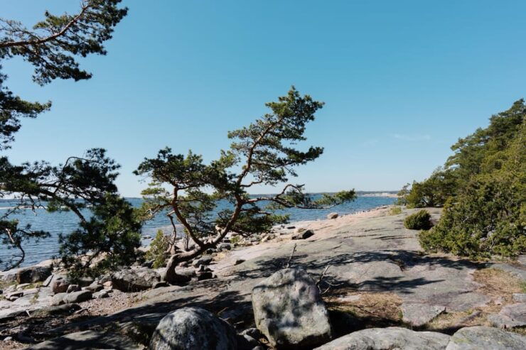 Kopparnäs: Exclusive Evening Tour in the Archipelago - Itinerary Highlights