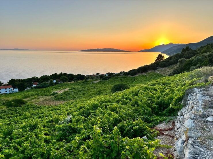 Korčula and Pelješac Peninsula Day Tour - Itinerary Highlights