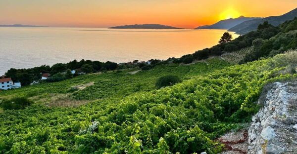 Korčula and Pelješac Peninsula Day Tour - Tour Highlights and Booking