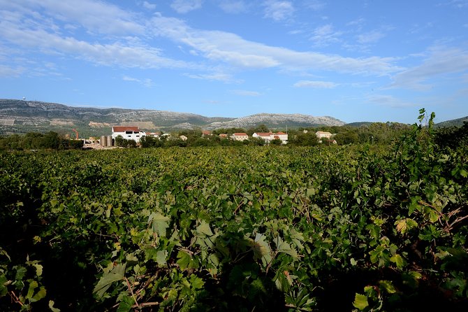 Korcula and Peljesac Tour From Dubrovnik - Directions and Pickup Details