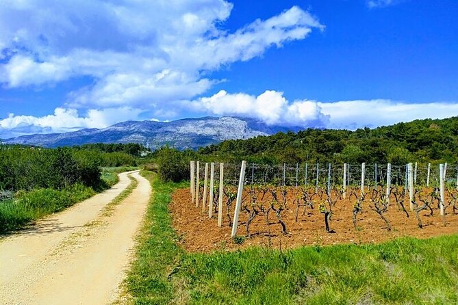 Korcula Bike & Wine Tour - Tour Highlights