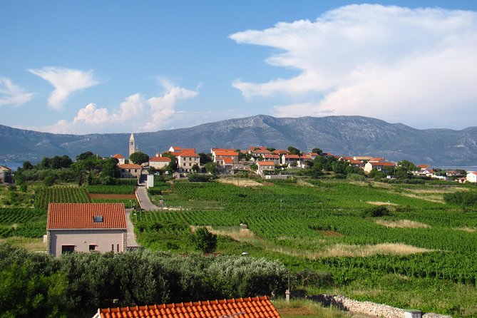 Korcula Bike & Wine Tour - Tour Itinerary