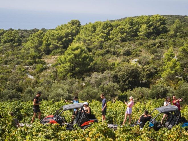 Korcula Buggy Safari With Wine Tasting - Booking Information