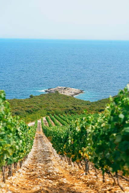 Korcula: Buggy Tour Including Local Food and Wine Tasting - Important Information
