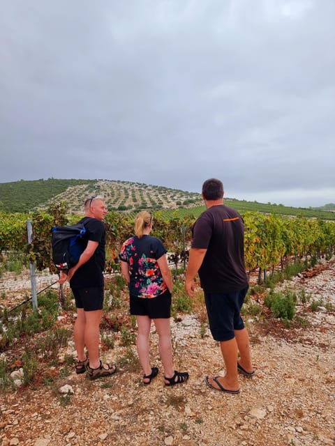 Korcula: Buggy Tour Including Local Food and Wine Tasting - Customer Reviews