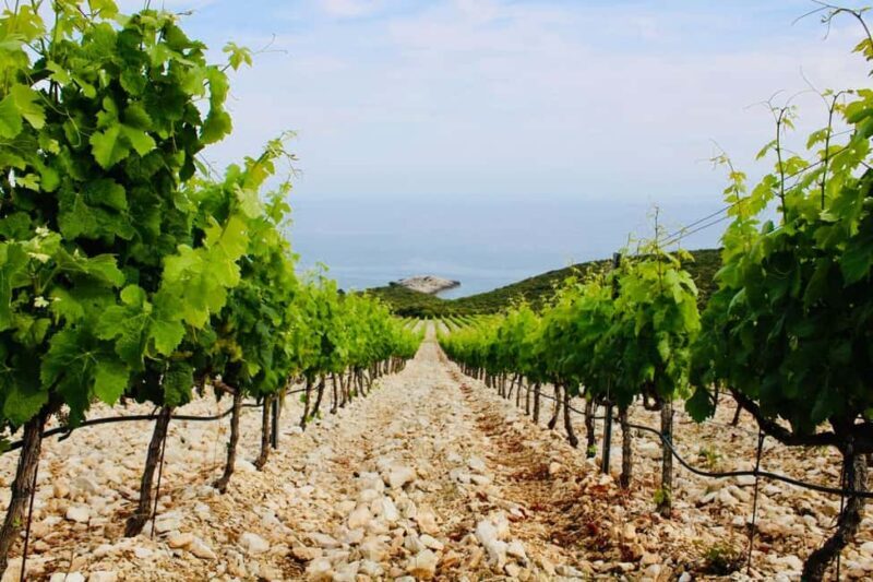 Korcula: Guided Wine Tour with Tastings - FAQ