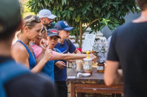 Korčula: Wine and Sweets Delight Tour - Scenic Views and Locations