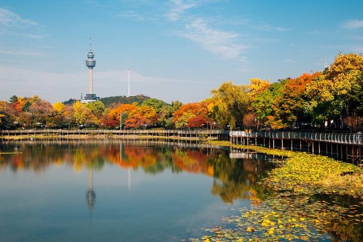 Korea and the Wonders of Japan by Europamundo - 17-Day Seoul to Tokyo Tour - Busan brings sea air and Korea’s coastal side