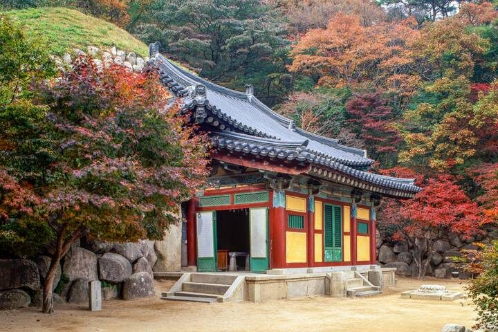 Korea and the Wonders of Japan by Europamundo - 17-Day Seoul to Tokyo Tour - Shikoku adds ferries, gardens and a serious climb